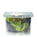 240ml Clear Plastic Food Pot